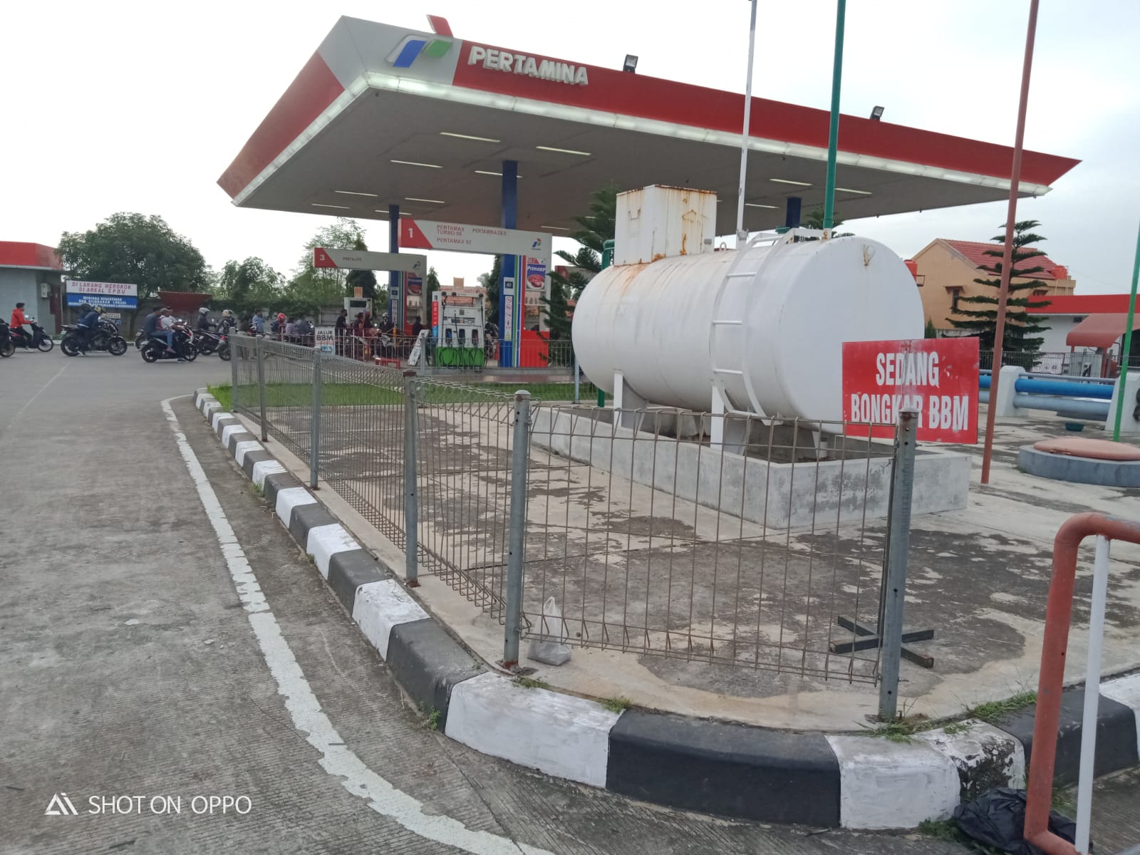 Pagar Mesh T.240 foto 2